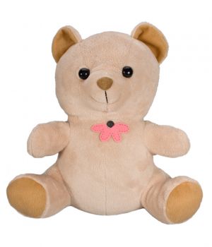 Covert teddy bear camera.jpg